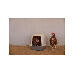 Kerbl - Pondoir pour poules 52 x 39 x 39 cm