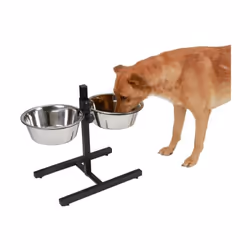 Bar alimentation avec écuelles pour chien de KERBL - Ecuelles en inox incluses - Hauteur du pietement en PVC - 2 écuelles de  ...