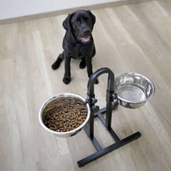 KERBL Bar alimentation avec ecuelles pour chien - 2x2800ml