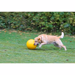 Kerbl 82274 jouet pour chiens et chats