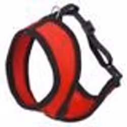 Lot de 3 harnais pour chat avec laisse Kerbl Active