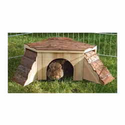 Maison Nature avec rampe pour petits rongeurs de KERBL - En bois massif - A la fois abri, pour jouer et pour dormir - Dimensi ...