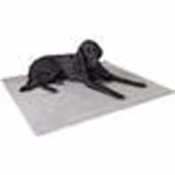 Tapis thermique antidérapant pour chien Kerbl