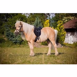 Kerbl Kit de selle Economy Poney 15" 325415