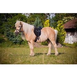 Kerbl Kit de selle Economy Poney 15" 325415