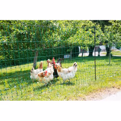 Kerbl 292273 palissade et grillage pour jardin Clôture électrique - Vue supplémentaire 11