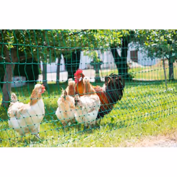 Kerbl 292273 palissade et grillage pour jardin Clôture électrique - Vue supplémentaire 12