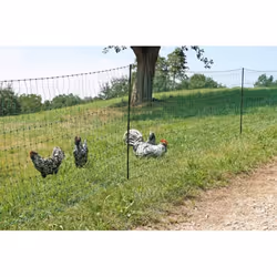 Kerbl 292273 palissade et grillage pour jardin Clôture électrique - Vue supplémentaire 13