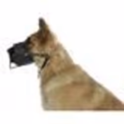 Muselière pour chien cuir Kerbl