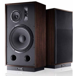 Magnat TRANSPULS 1500 3-voies Noir, Marron Avec fil 250 W