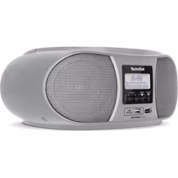 TechniSat DigitRadio 1990 Analogique et numérique 3 W DAB+, FM Argent Lecture de MP3