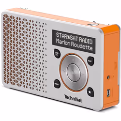 TechniSat DigitRadio 1 Portable Numérique Orange, Argent
