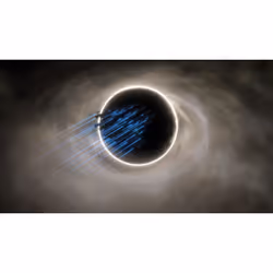 Paradox Interactive Stellaris - Console Edition Standard Allemand, Anglais, Espagnol, Français, Polonais, Portugais, Russe Xbox One