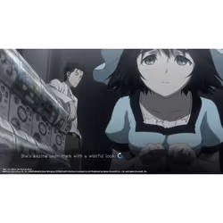 Spike Chunsoft Steins;Gate Elite - Edition Limitée Limited Anglais, Japonais PlayStation 4