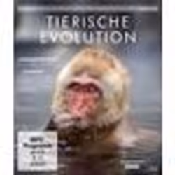 Koch Media David Attenborough: Tierische Evolution (Blu-ray), Blu-ray, Allemand, Anglais, Animaux, 2D, 1.78:1, 1.78:1