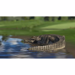 Ravenscourt The Golf Club - Edition Collector Collection Xbox One - Vue supplémentaire 10