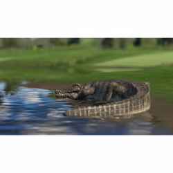 Ravenscourt The Golf Club - Edition Collector Collection PlayStation 4 - Vue supplémentaire 10