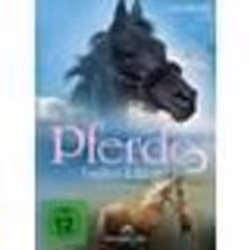 Koch Media DVM010004D, DVD, Allemand, Thriller, 2D, 4:3, 16:9, 305 min
