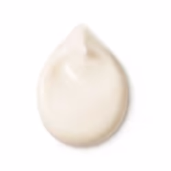 Dr. Hauschka Rose Day Cream Light - Limited Edition Crème de jour Visage 30 ml