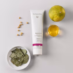 Dr. Hauschka Shampooing