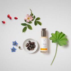 Dr. Hauschka Soothing Day Lotion Lotion visage 50 ml
