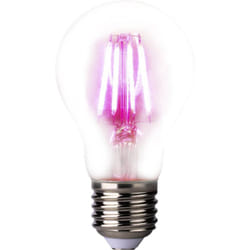 Ampoule led pour plantes LM85320 109 mm 230 v E27 4 w forme de poire 1 pc(s) - Lightme