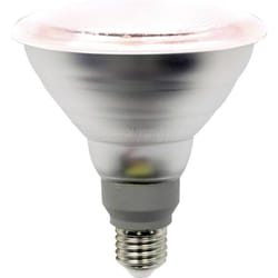 Ampoule led pour plantes LM85322-2 132 mm 230 v, 220 v, 240 v E27 15 w réflecteur 1 pc(s) - Lightme