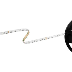 Barthelme - Basic rgb 51541331 Ruban led avec câble à extrémités ouvertes 24 v 5 m rvb 1 pc(s) S819582