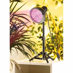 Ampoule de croissance - LUNARTEC - Fast Grow - Rouge Bleu - Universel - LED