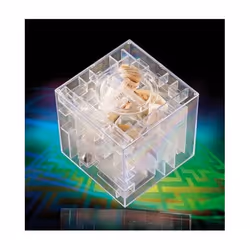 Tirelire - INFACTORY - Labyrinthe 3D - Plexiglas - Blanc - Asymétrique