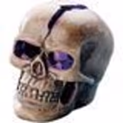Lampe de décoration - INFACTORY - Crâne Crackhead - LED bleu - Contemporain - Design