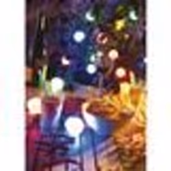 Guirlande lumineuse - LUNARTEC - Multicolore - 20 ampoules LED - 13 mètres - Intérieur/Extérieur