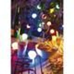 Guirlande lumineuse - LUNARTEC - Multicolore - 20 ampoules LED - 13 mètres - Intérieur/Extérieur