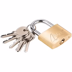 Cadenas - AGT - 43 mm - Double verrouillage - 6 clés incluses - Niveau de sécurité 6