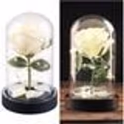 Décoration - Lunartec - Rose artificielle sous cloche en verre - Guirlande LED 25 - Blanc chaud - Effet réaliste