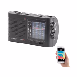 Auvisio PX-2439-919 Radio portable Analogique Noir