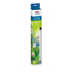 Ampoule LED - JUWEL - NOVOLUX LED 60 - Blanc - 30000 heures - Classe A+