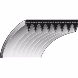 COURROIE DE DISTRIBUTION COMPATIBLE TORO : SP 58 Dimensions : 24 X 560 mm Référence : 8-779 Code original de référence : 3-65 ...
