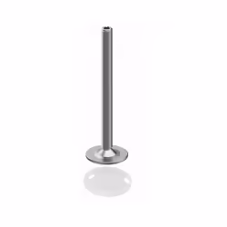 Hettich 9318255, Vis, Acier galvanisé, 50 pièce(s)