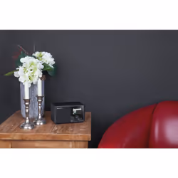 Telestar DIRA M 11i+ Portable Analogique et numérique - Vue supplémentaire 4
