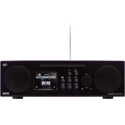 Telestar DABMAN i450 CD, Personnel, Analogique, DAB, DAB+, UKW, 174 - 240 MHz, 10 W, TFT
