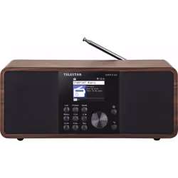 Telestar DIRA S 24i Portable Numérique Noir, Bois