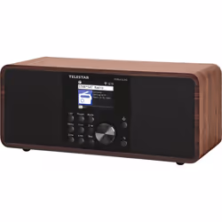Telestar DIRA S 24i Portable Numérique Noir, Bois