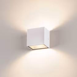 Applique murale et plafonnier extérieur - SLV - 1002033 - LED 10W - Blanc - IP44