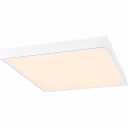 Informations techniques Montage : montage - plafond Couleur de la lumière : 3000 K/4000K Flux lumineux : 4000/4200 lm Durée d ...