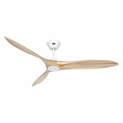 Ventilateur de plafond dc Eco Airscrew mw-nt