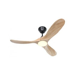 Casafan - Ventilateur de plafond Eco Genuino-L 122 ms-nt
