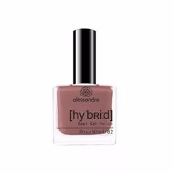 alessandro Hybrid Colour Rosy Wind, Rose, 1 pièce(s)