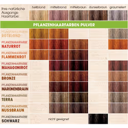 Sante Naturkosmetik 40185 couleur de cheveux Rouge