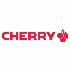 CHERRY KC 4500, Taille réelle (100 %), USB, Clavier à membrane, Noir